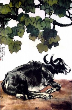  ancienne - XU Beihong un bétail vieille Chine à l’encre